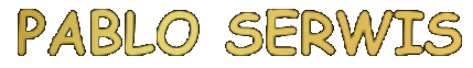 PABLOSERWIS Logo
